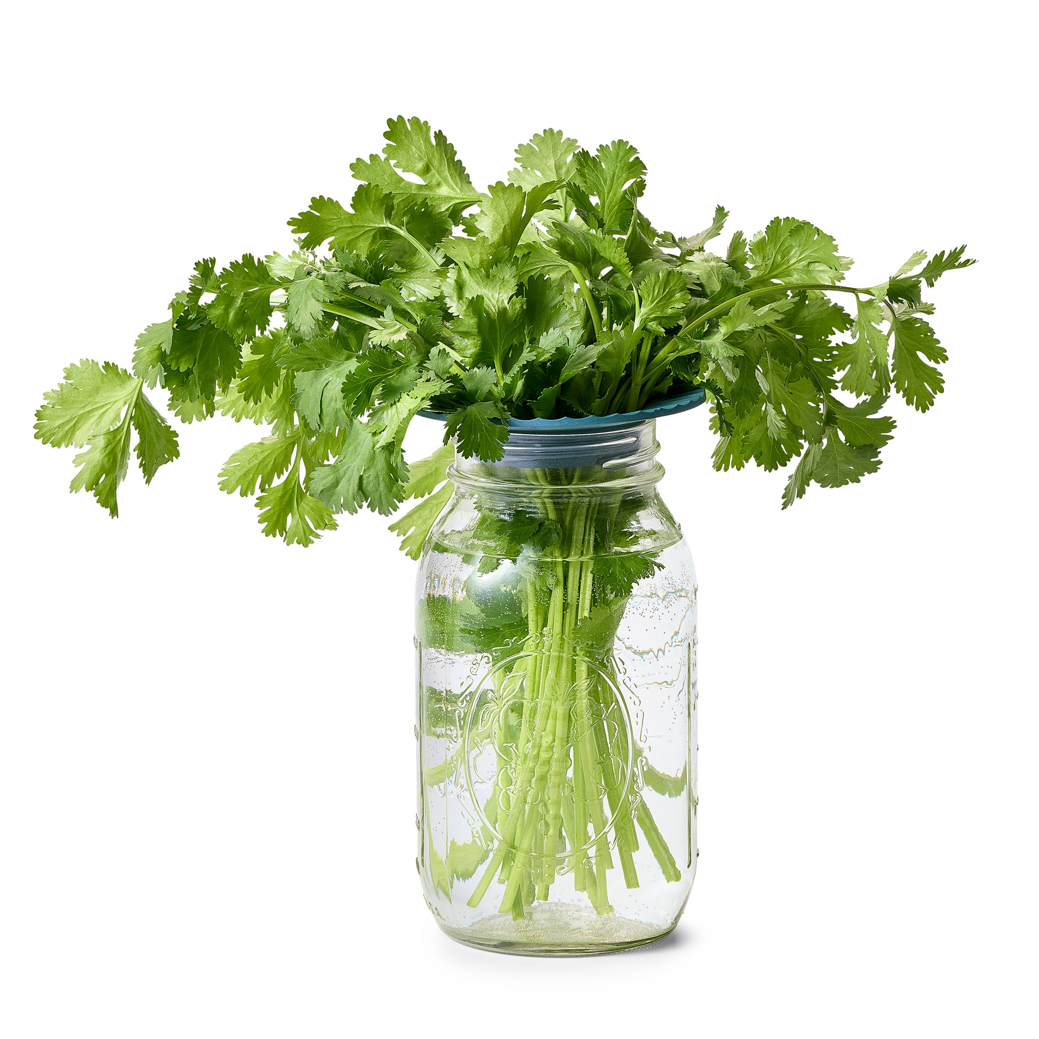 Produce Keepers: 2-Pack