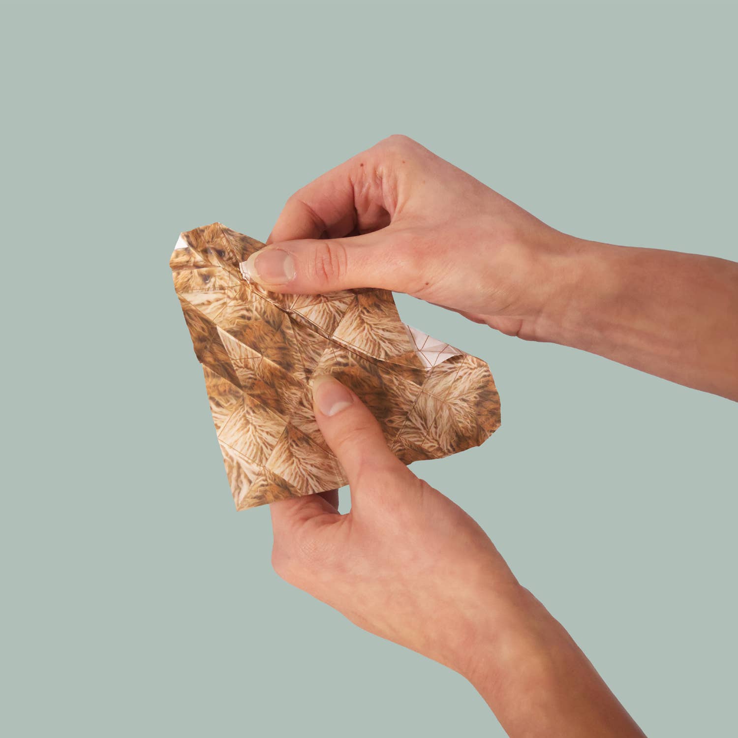 DIY Origami Kit: Pets &amp; Plants