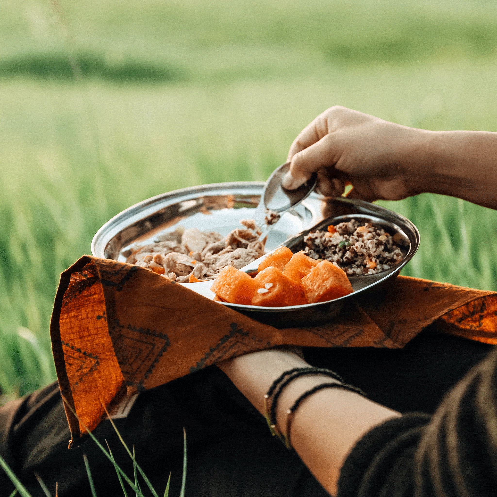 Camping Tray: Stainless Steel