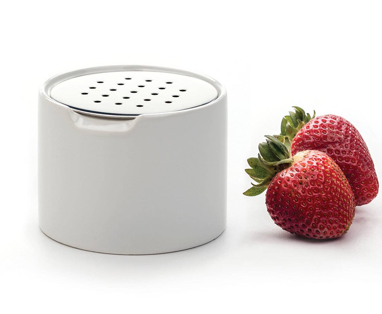 Fruit Fly Trap: Refillable