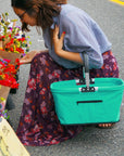Picnic Basket: Collapsible