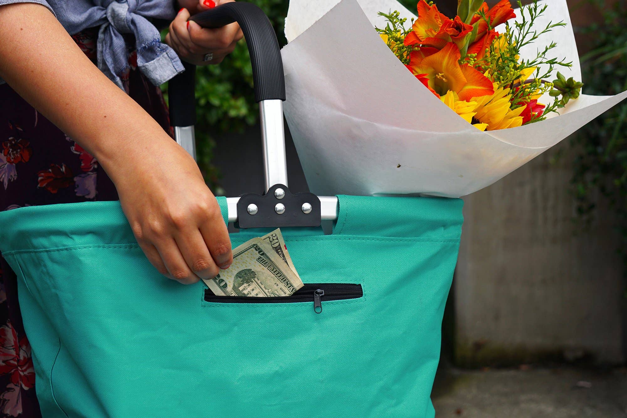 Picnic Basket: Collapsible