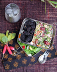 Stainless Steel Lunchbox: Classic or Giant