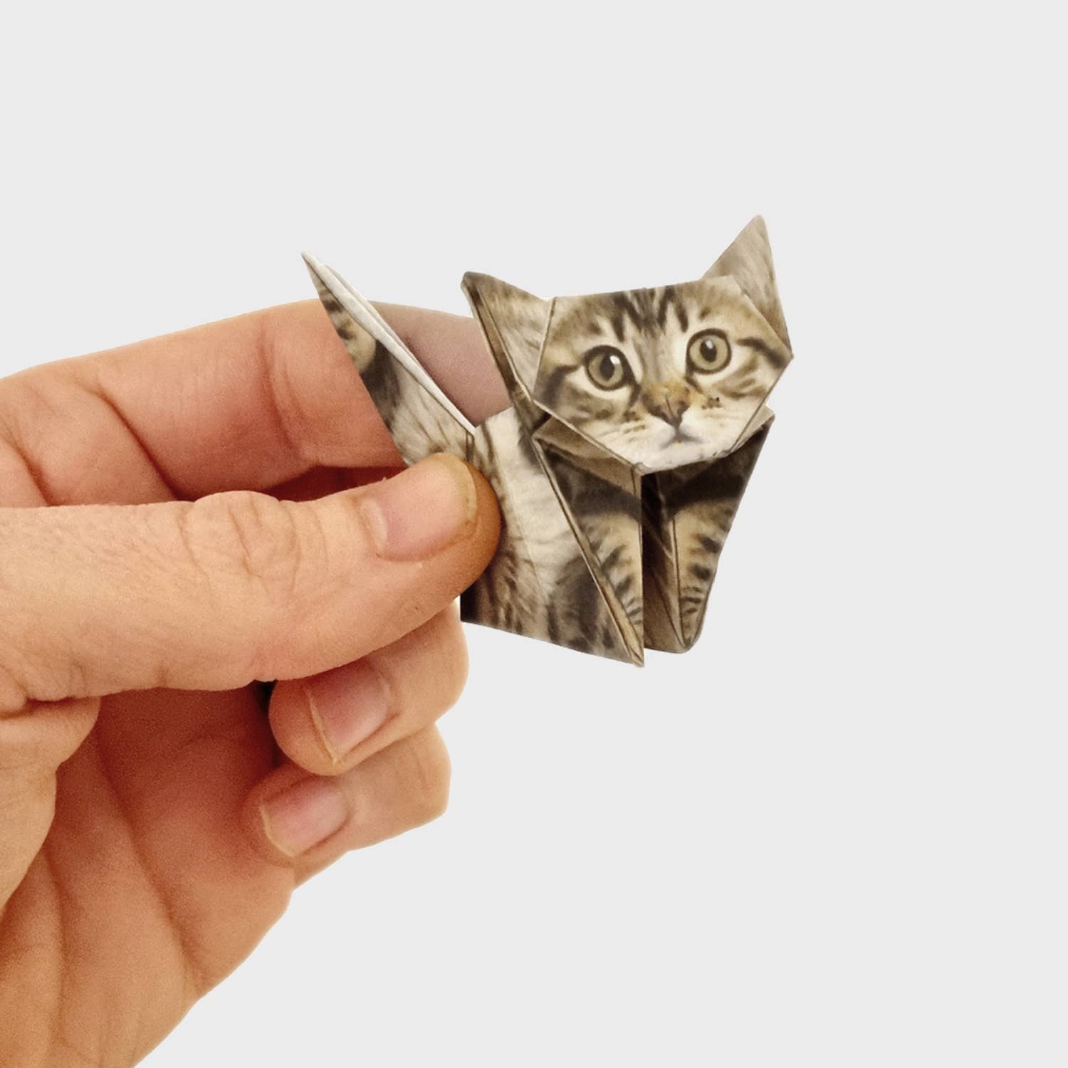 DIY Origami Kit: Pets &amp; Plants