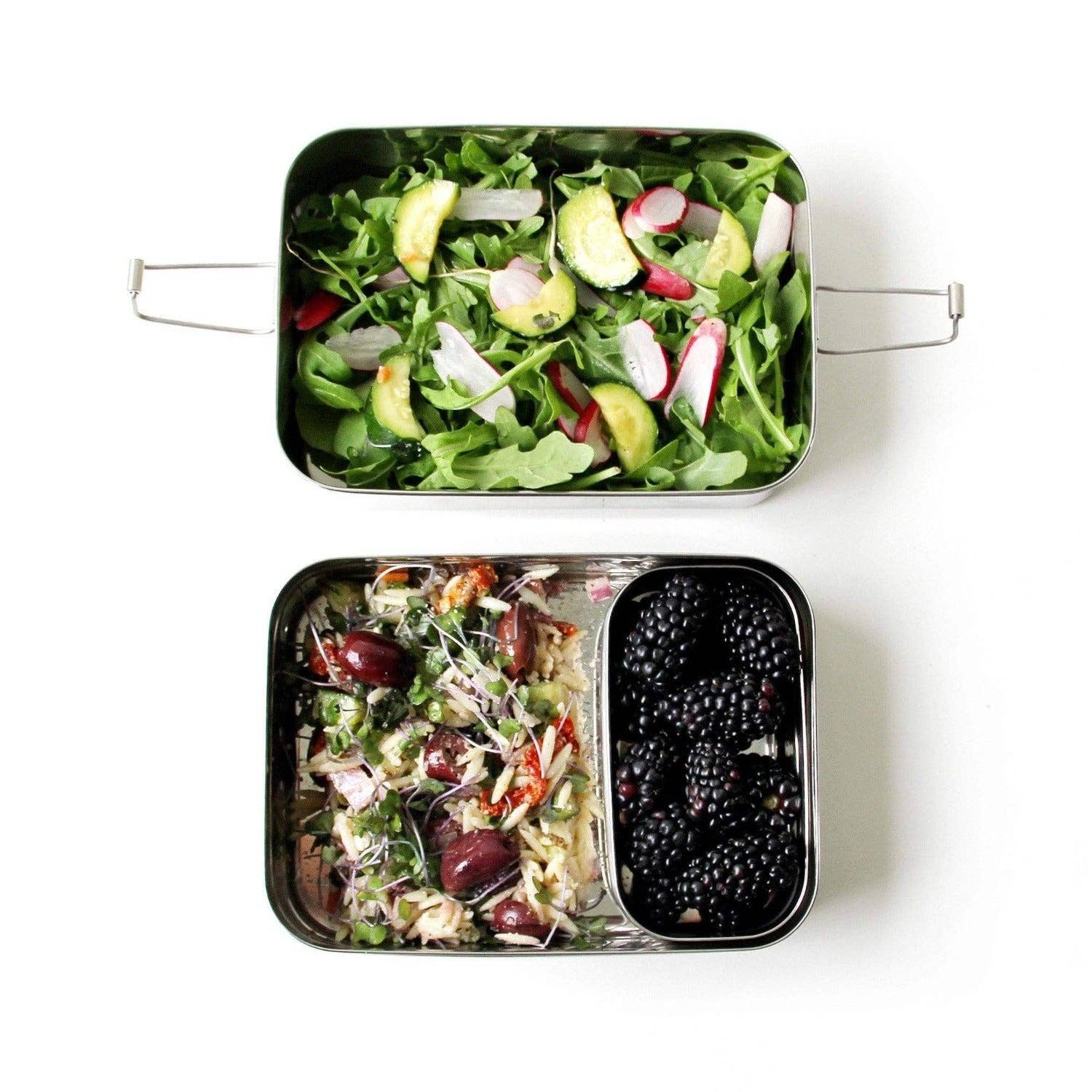 Stainless Steel Lunchbox: Classic or Giant