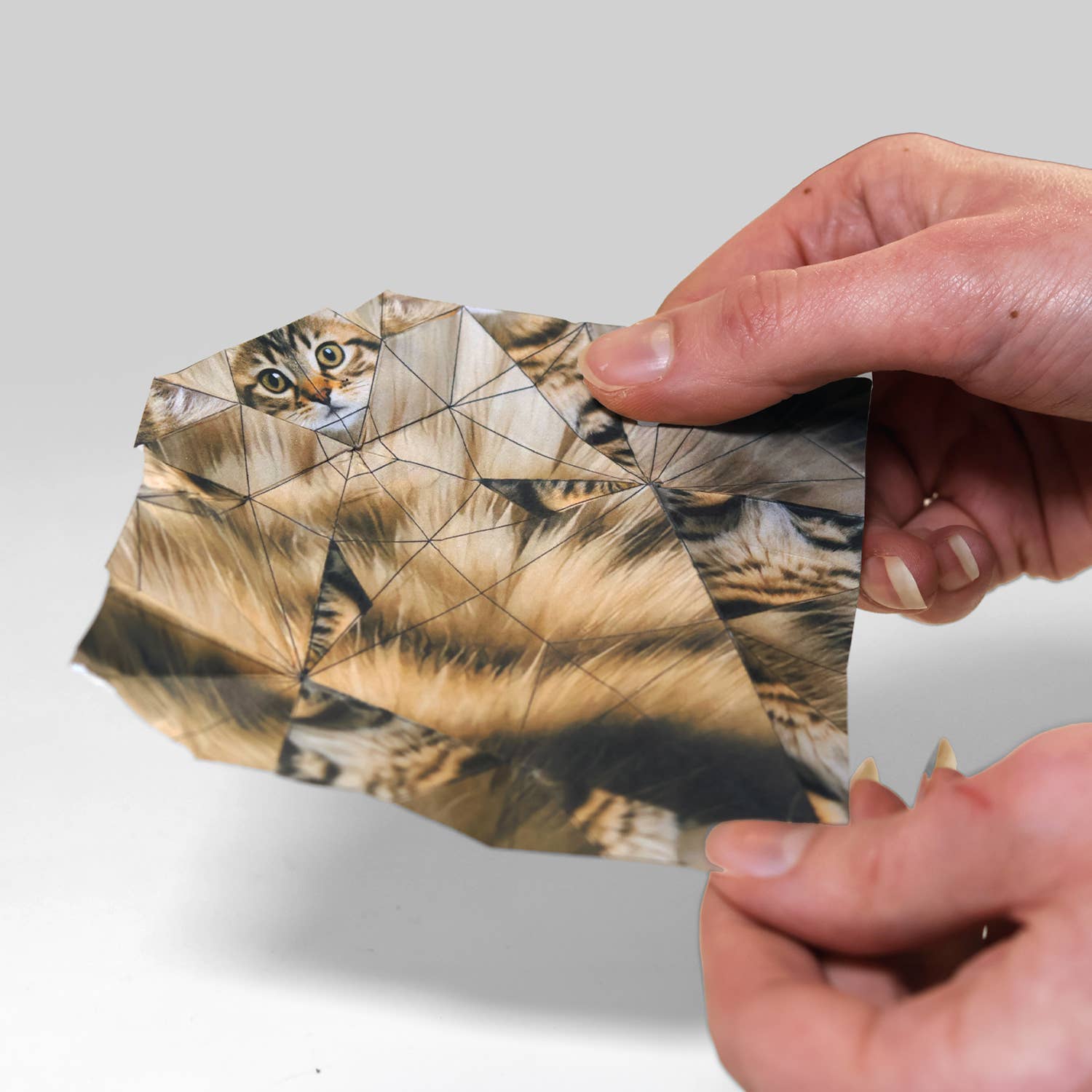 DIY Origami Kit: Pets &amp; Plants