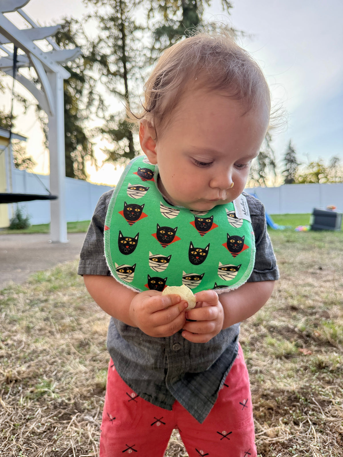 Baby Bib: Halloween Prints
