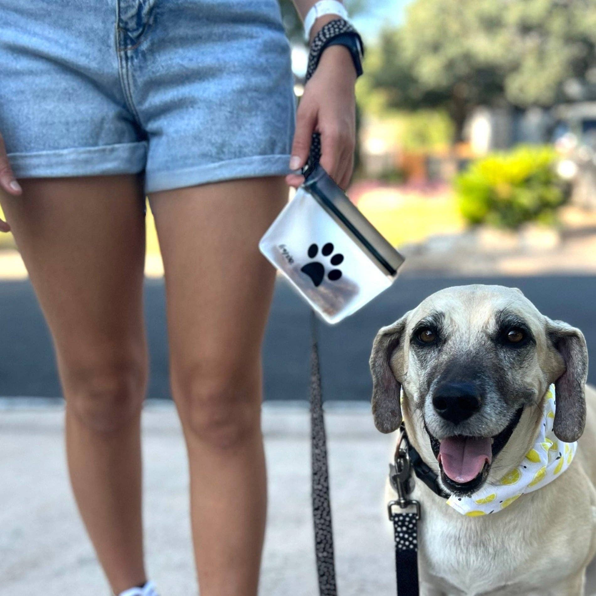 Reusable Pet Treat Bag w/ Carabiner