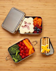 Stainless Steel Lunchbox: Classic or Giant