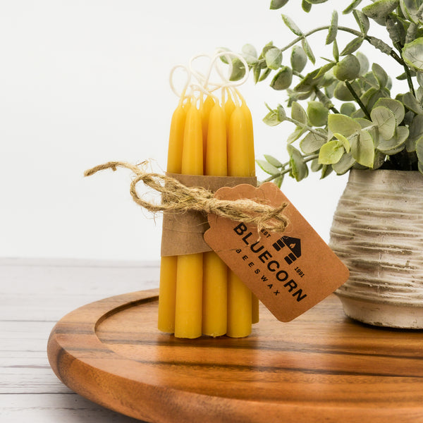 Beeswax Mini Tapered Candles: Set of 10