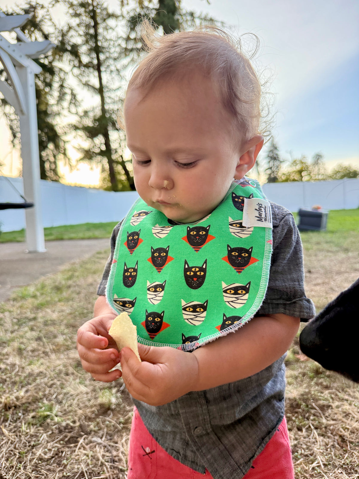 Baby Bib: Halloween Prints