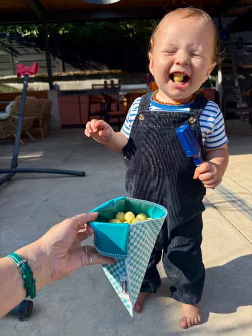 Snack Bag: Picnic Checkered