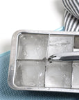 Ice Cube Tray: Large Cubes