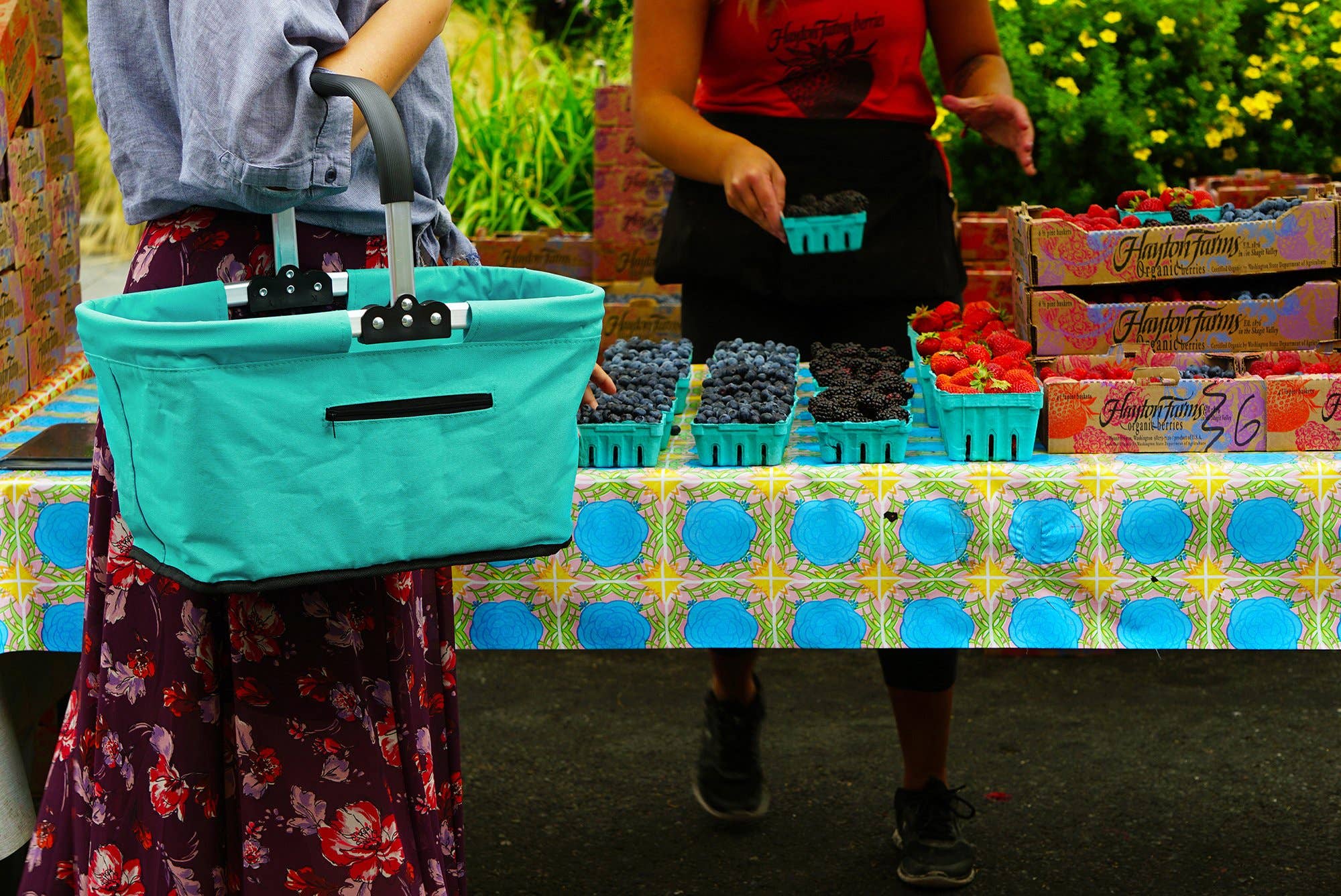Picnic Basket: Collapsible