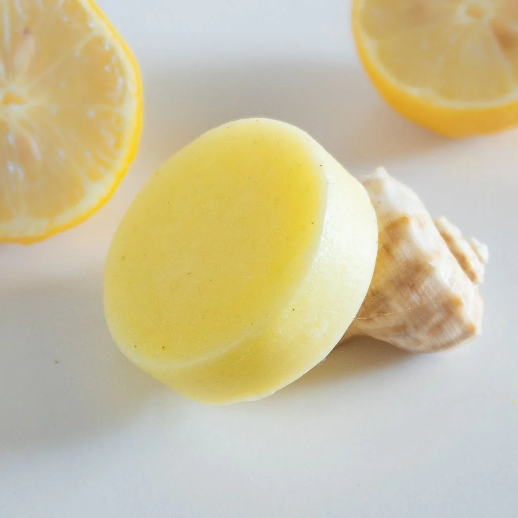 Shampoo &amp; Conditioner Bars: Organic