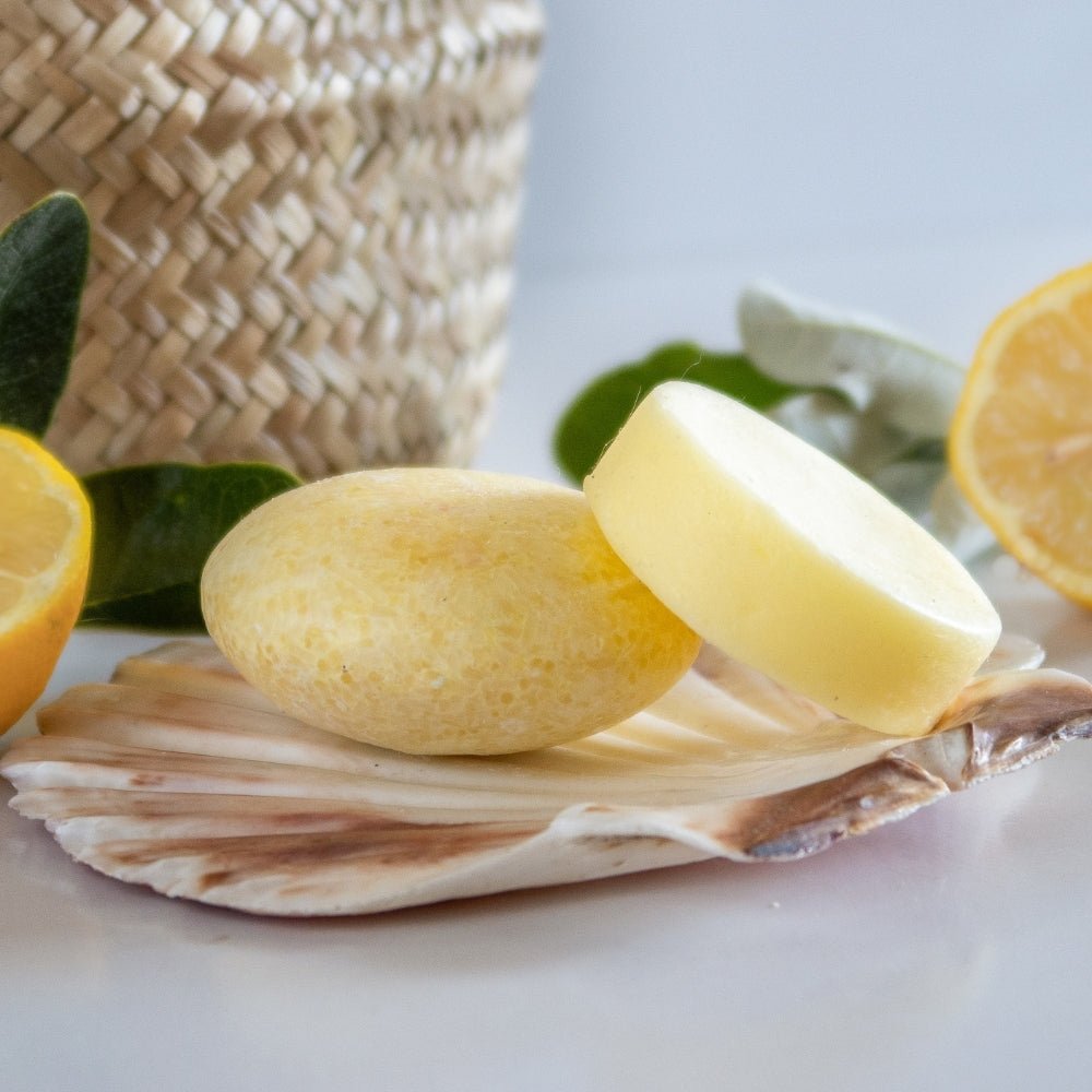 Shampoo &amp; Conditioner Bars: Organic