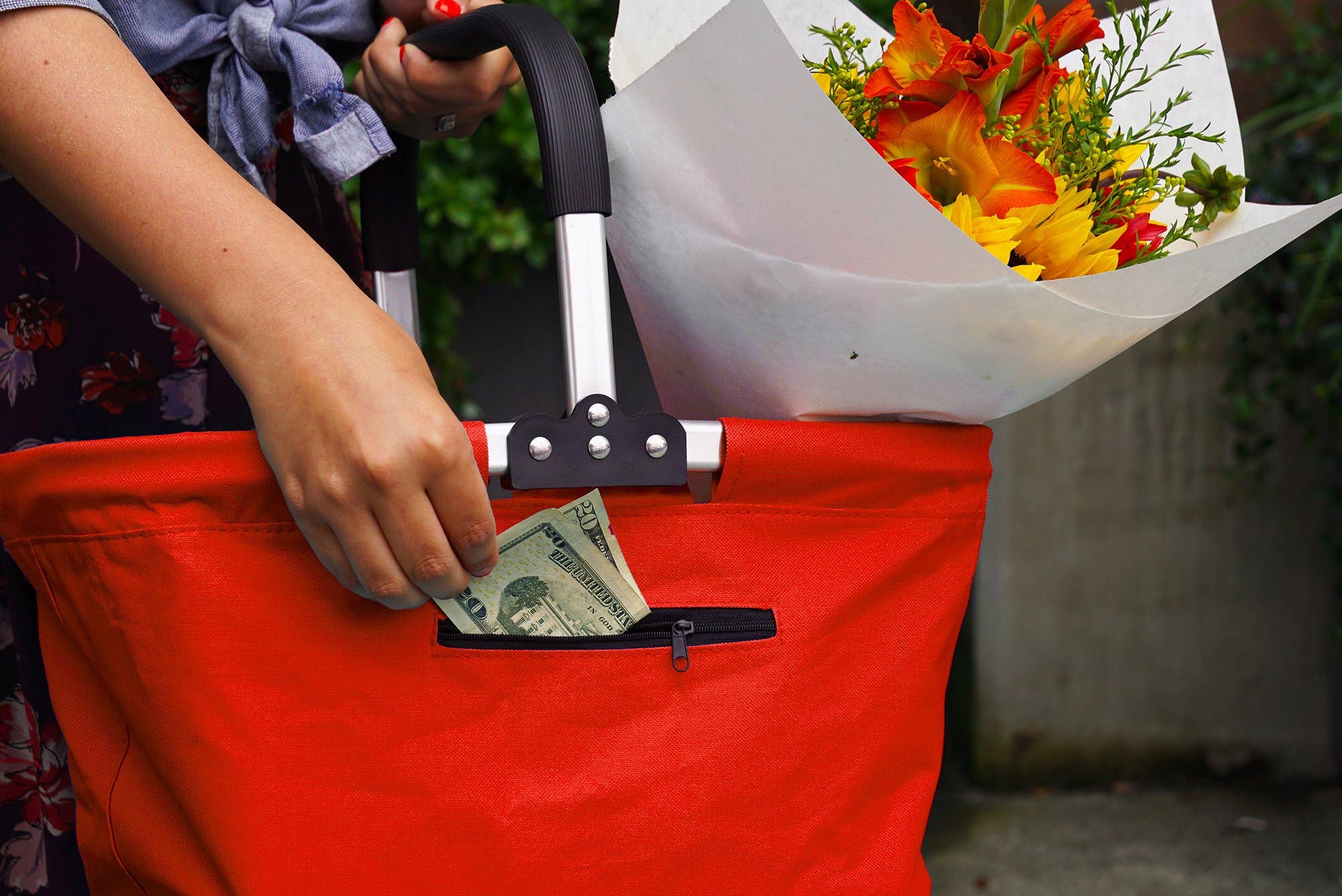 Picnic Basket: Collapsible