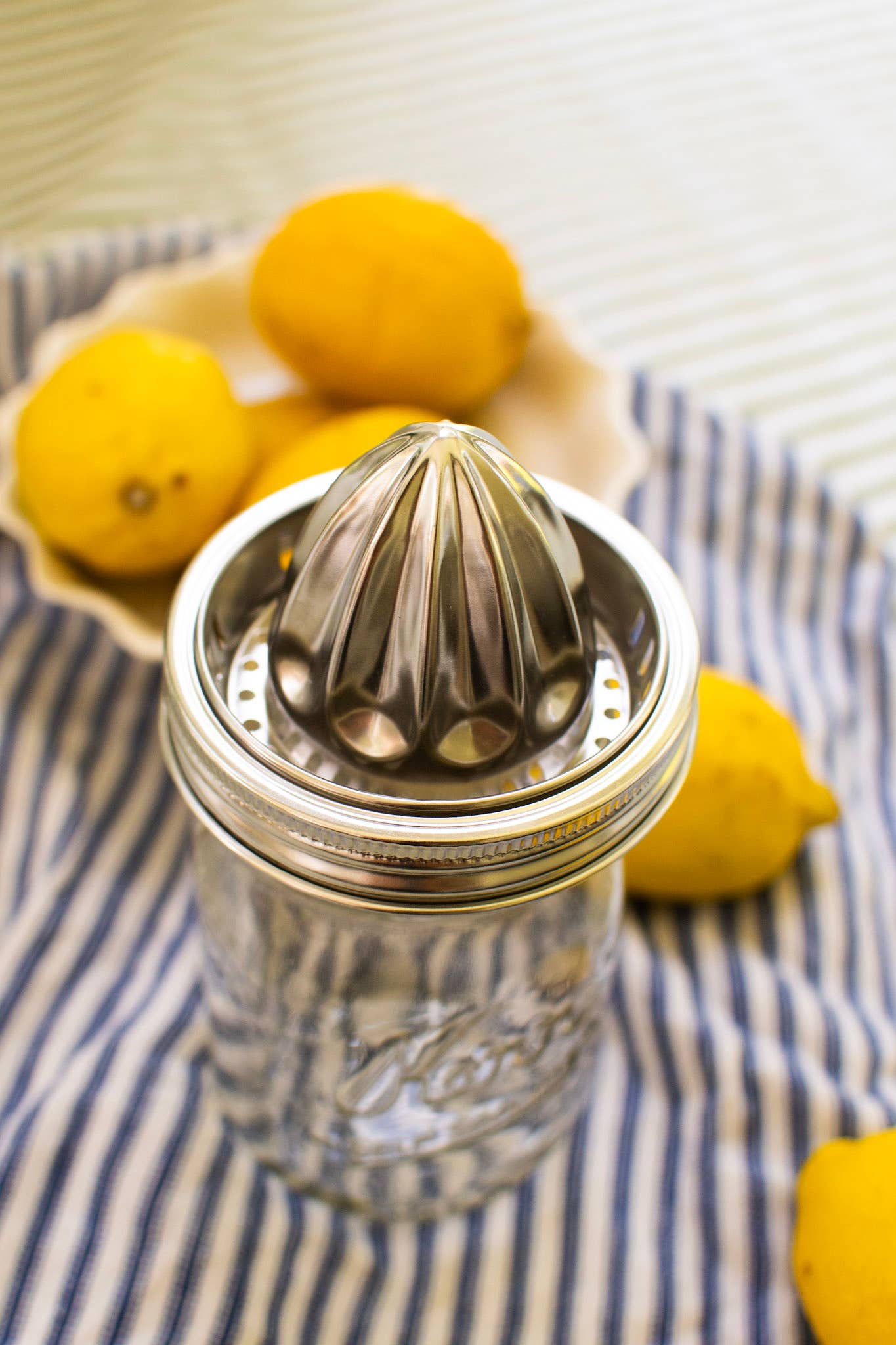 Stainless Steel Juicer: Wide Mouth
