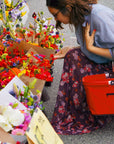 Picnic Basket: Collapsible
