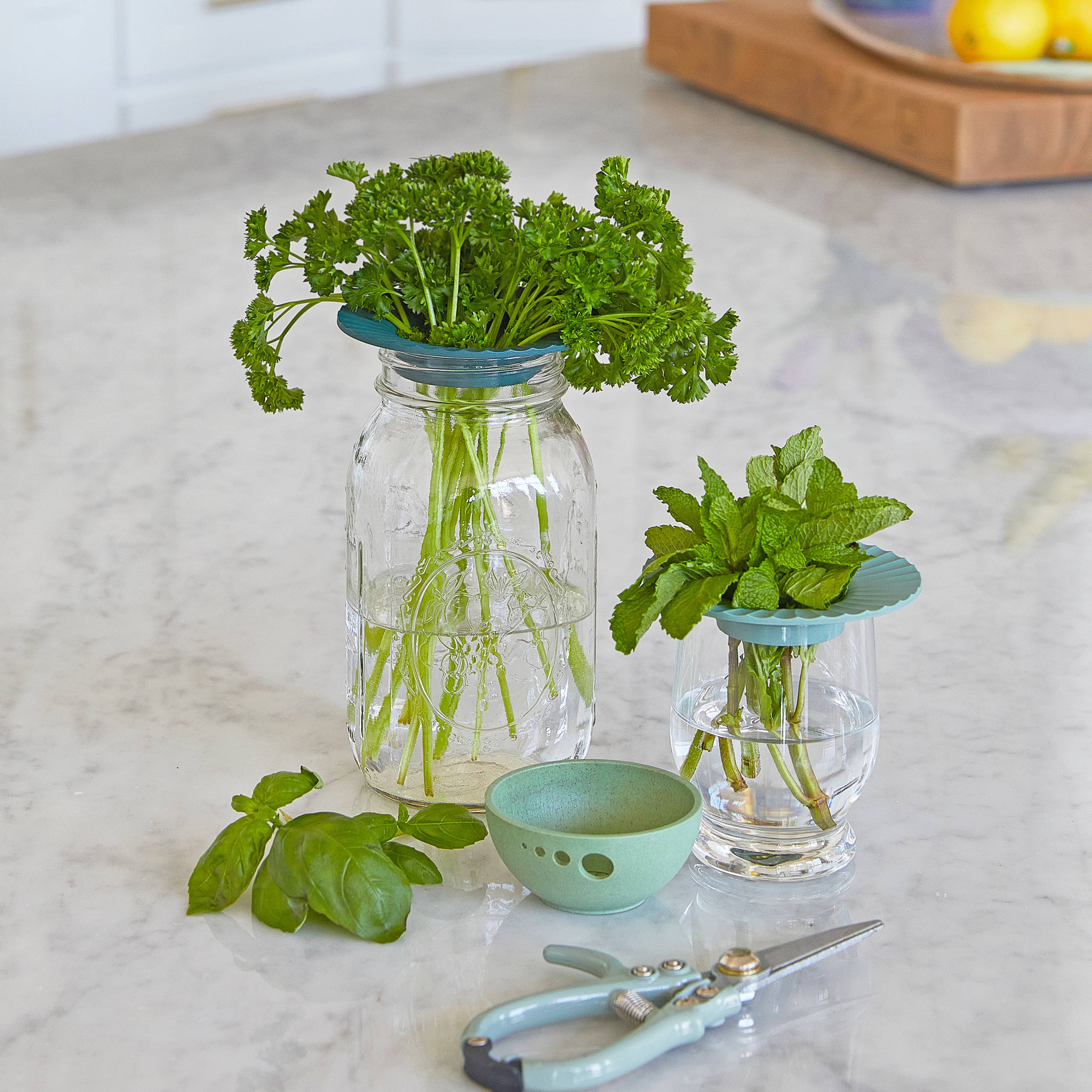 Produce Keepers: 2-Pack