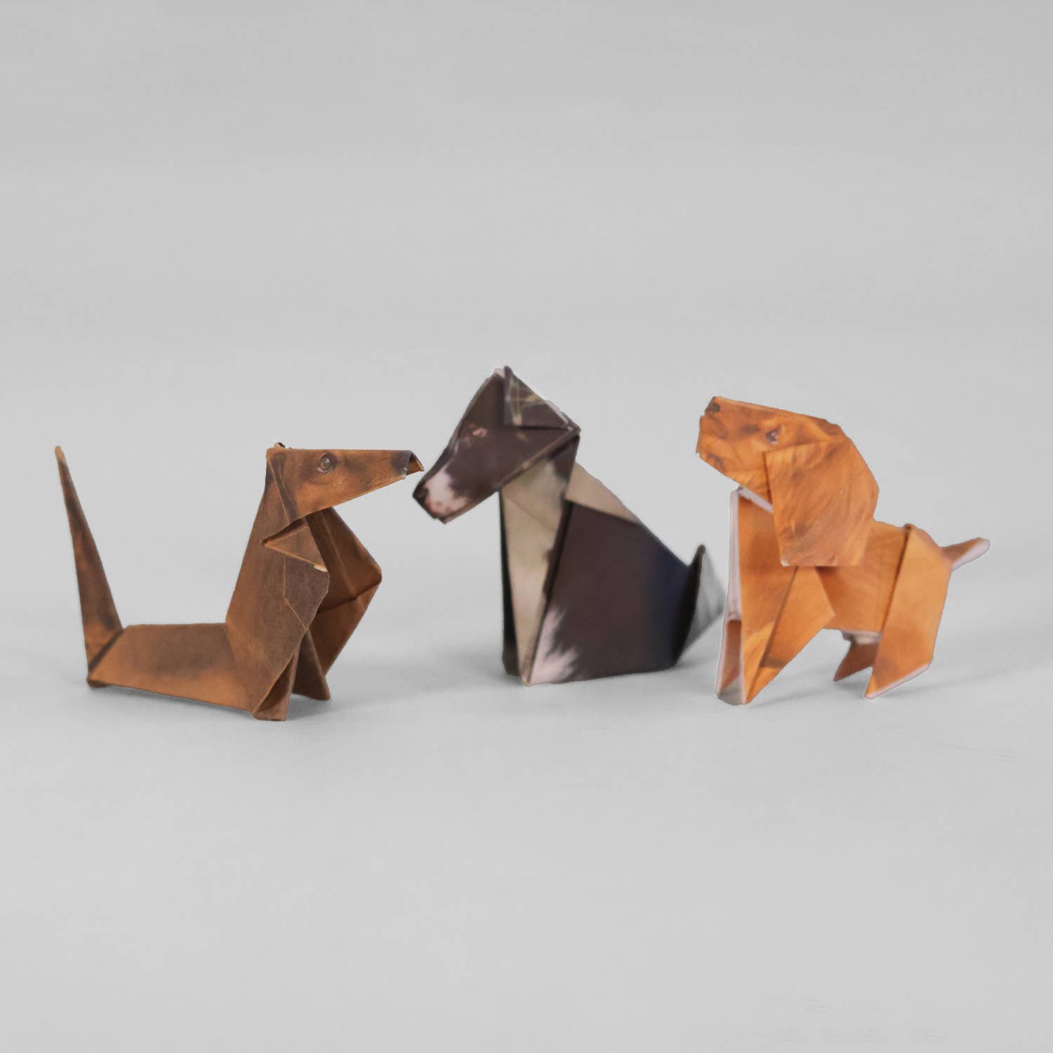 DIY Origami Kit: Pets &amp; Plants