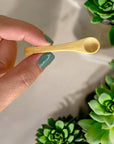 Mini Bamboo Spice Spoon | Kitchen