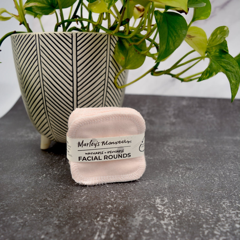Blush Pink Facial Round set propped against a potted plant