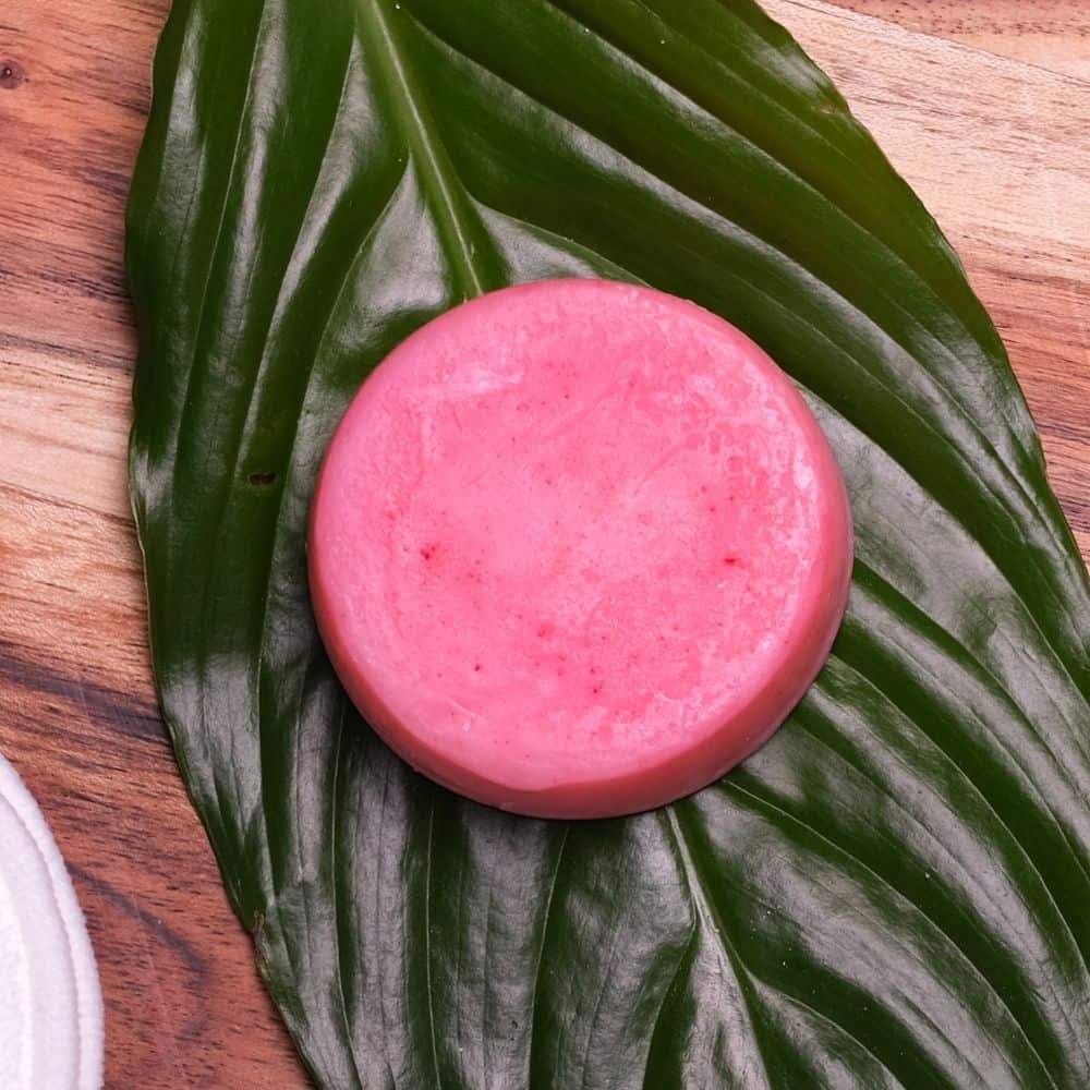 Shampoo &amp; Conditioner Bars: Organic