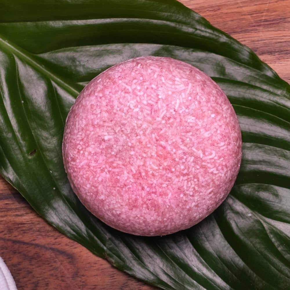 Shampoo &amp; Conditioner Bars: Organic