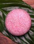 Shampoo & Conditioner Bars: Organic