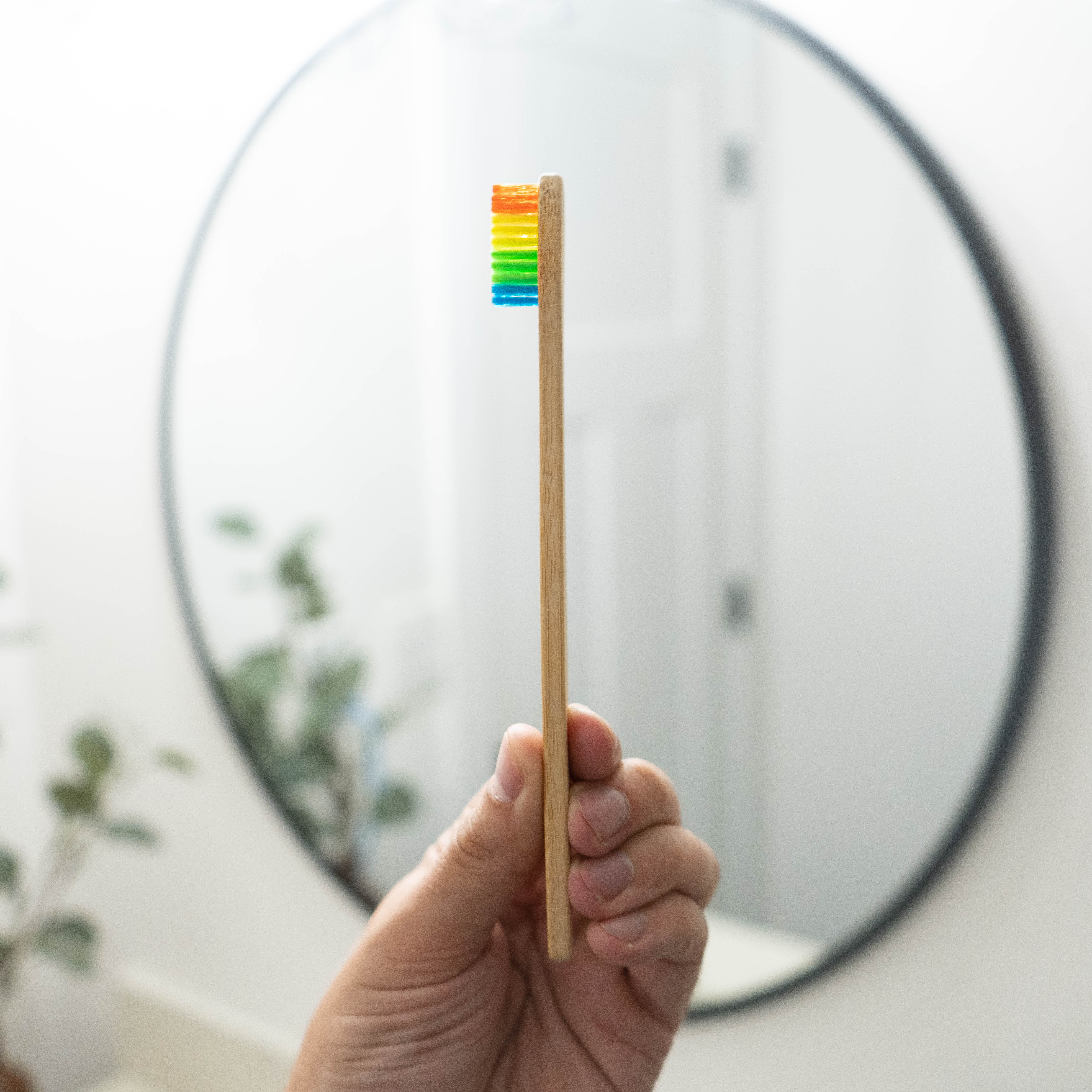 Bamboo Toothbrush