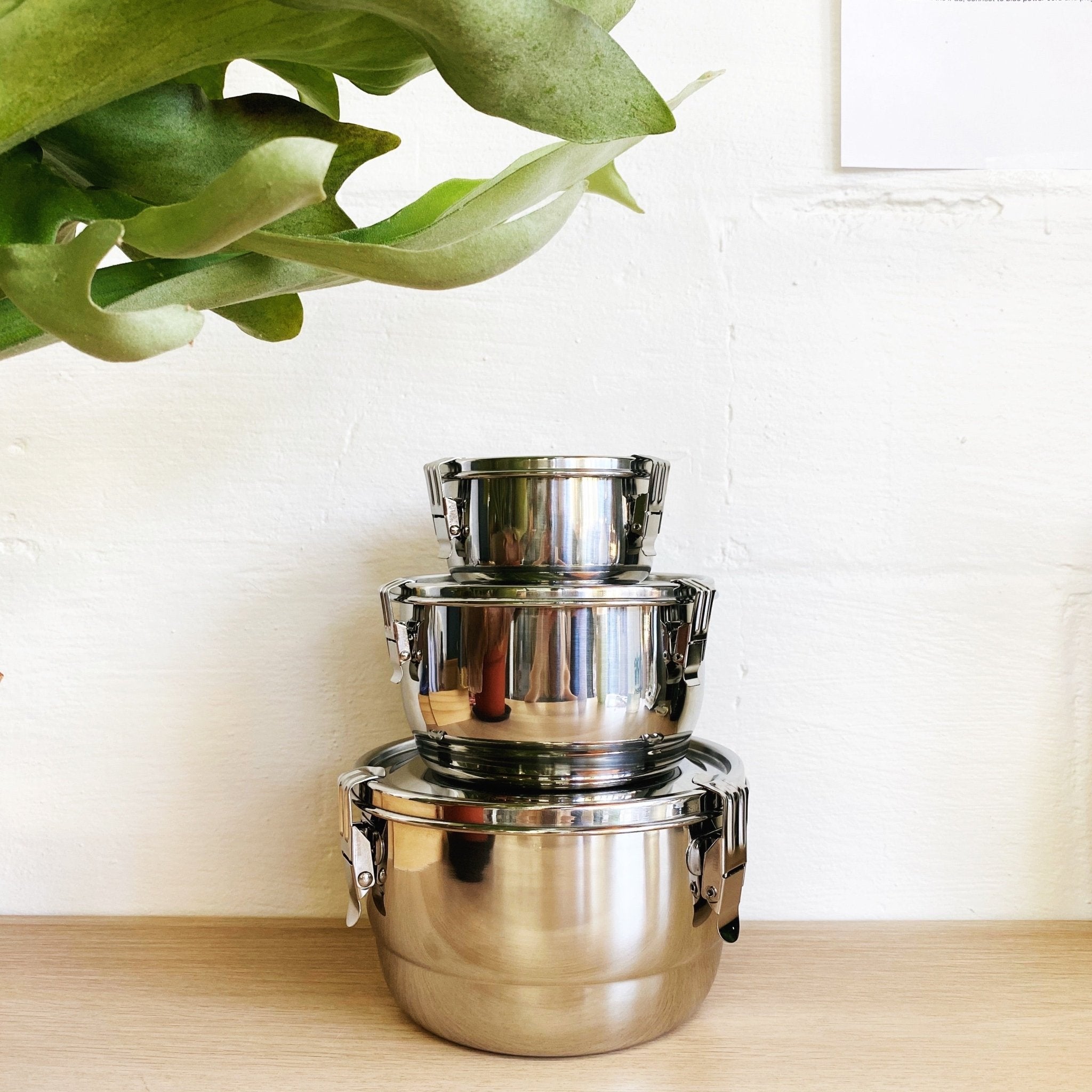 Airtight Food Storage: Stainless Steel large