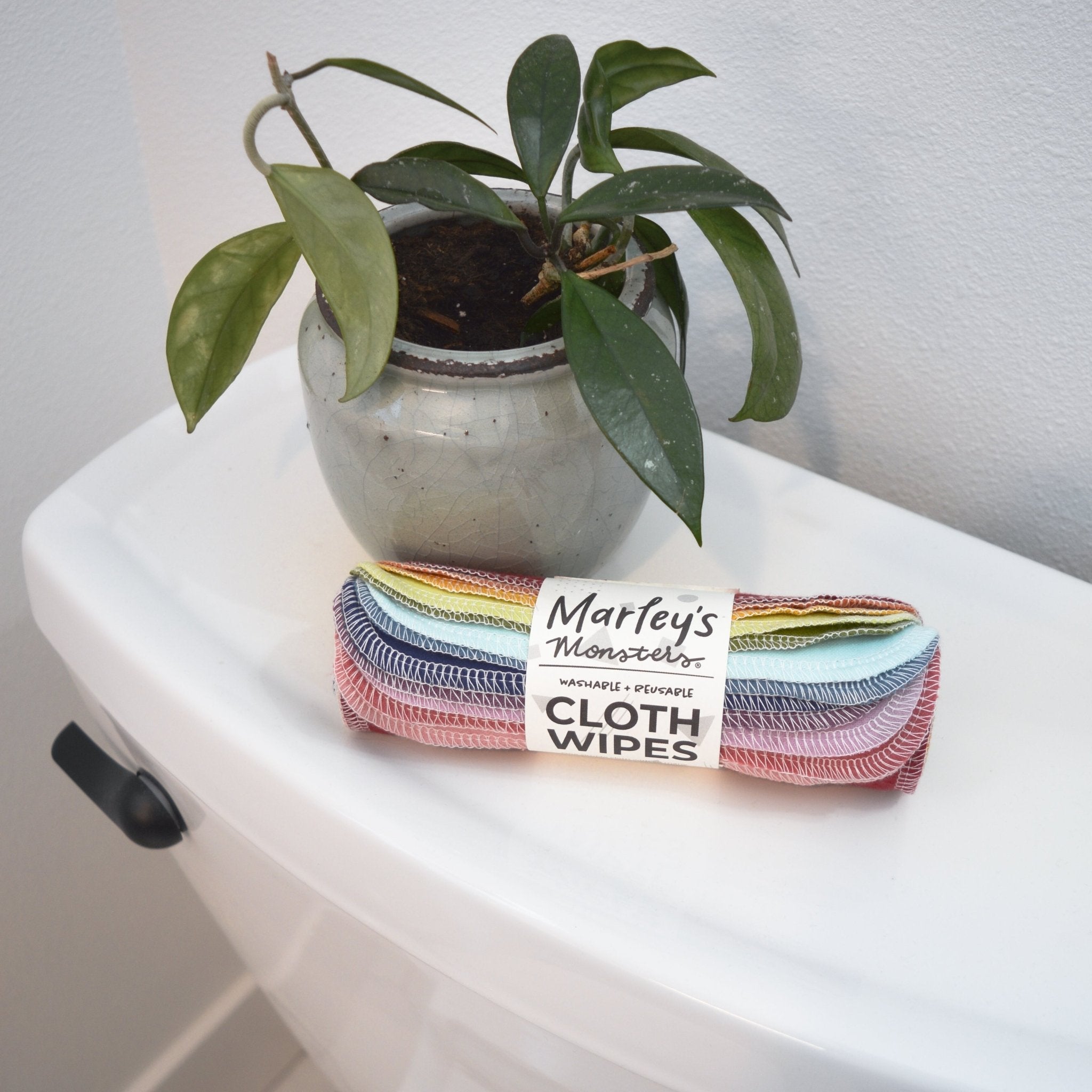 Cloth Wipes: Earthy Rainbow - Marley&#39;s Monsters