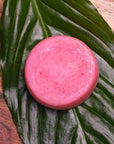 Organic Shampoo and Conditioner Bars - Marley's Monsters