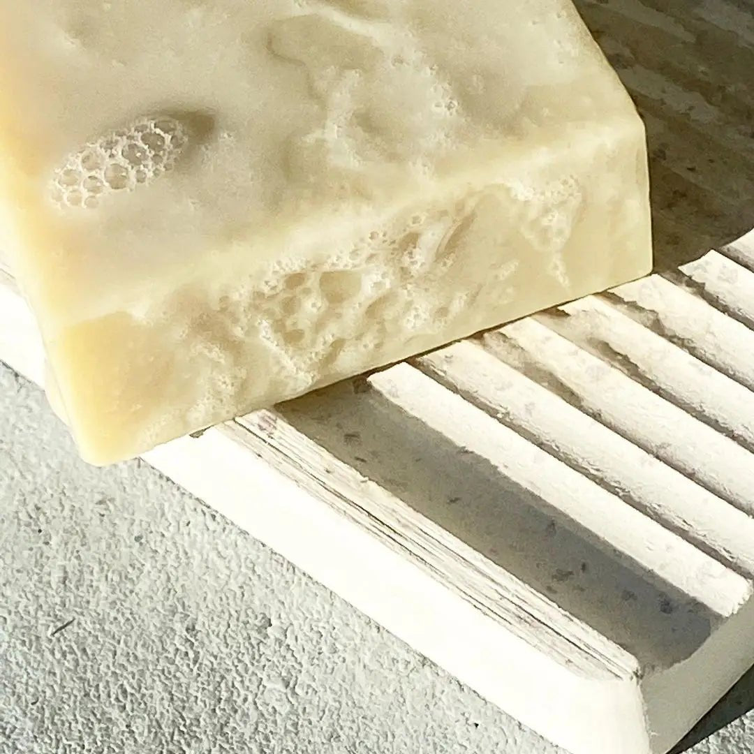 Soap Dish: Diatomaceous Stone - Marley's Monsters