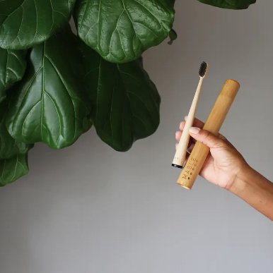 Toothbrush Holder: Bamboo - Marley&#39;s Monsters